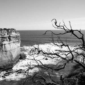 The rugged coast of the Great Ocean Road