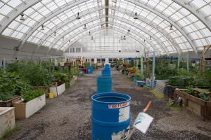 Inuvik's greenhouse