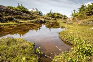 Alaska, or British Columbia?