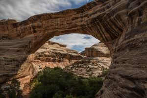 Natural Bridges National Monument