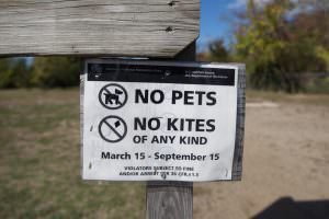 New Jersey sign 'No Kites'