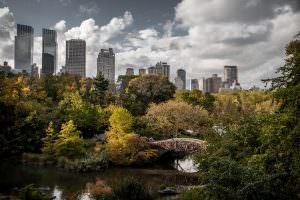 Central Park, Manhattan, NYC