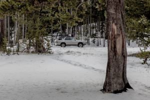 Snow at Yellowstone