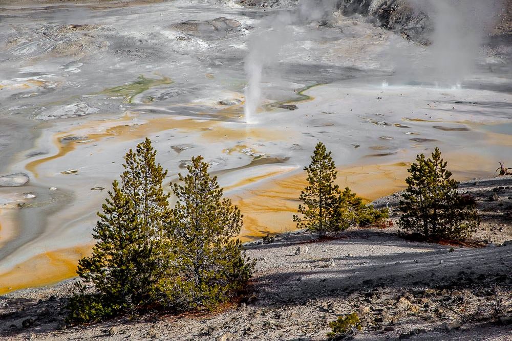 Yellowstone National Park