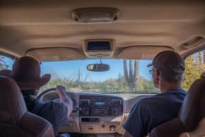 Going for a drive with Oscar and Peter in the front