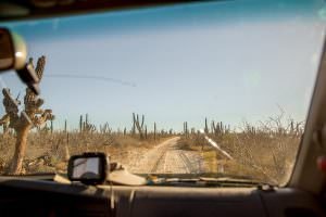 Another dusty Baja back road