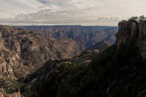 The Copper Canyon, Chihuahua, Mexico.