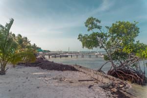 There are however a lot of boat docks along this side of the island.