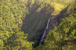 1000 foot falls. Which is actually 1600 feet high. We like how Belize really under-sells some of its natural beauty.