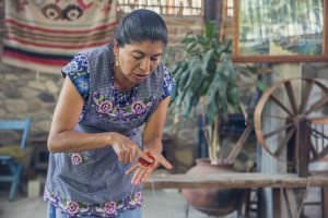 Rosario shows us what happens when you bust open some cochineal beatles.